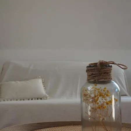 Chez Berenice Et Clement Miraumont